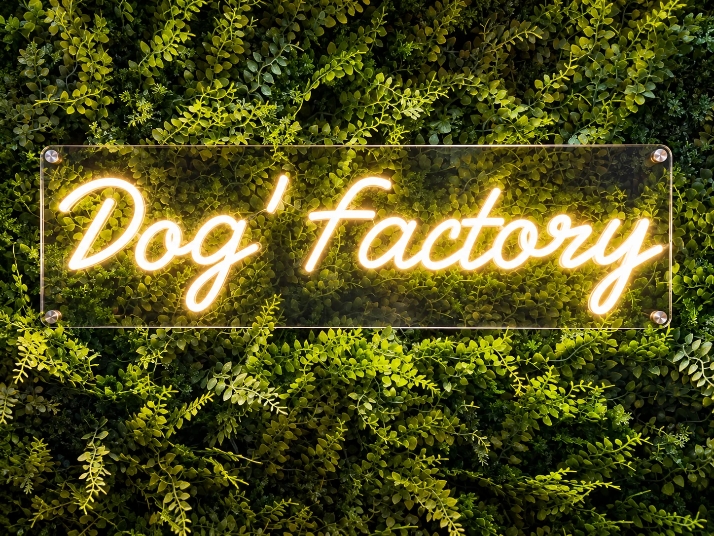 Le néon Dog’Factory sur le mur végétal du salon